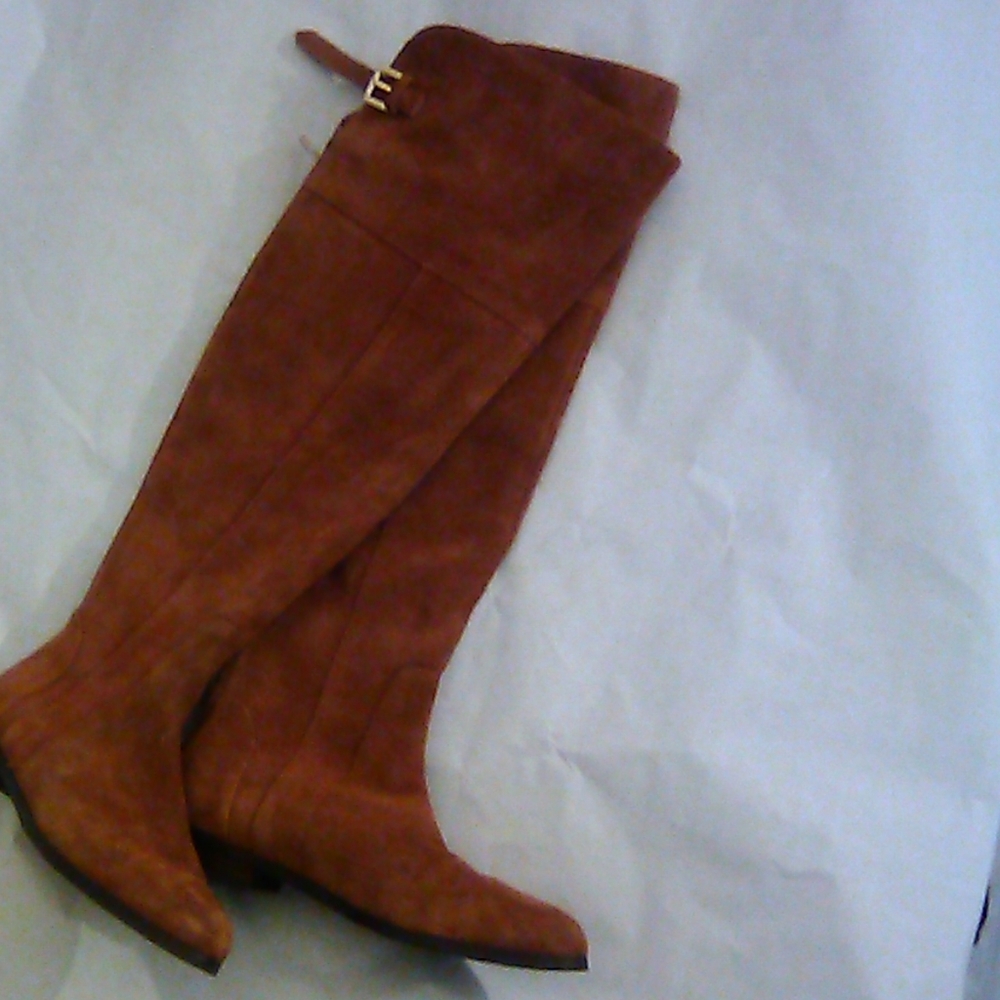 Charles David Brown Over the Knee Boots